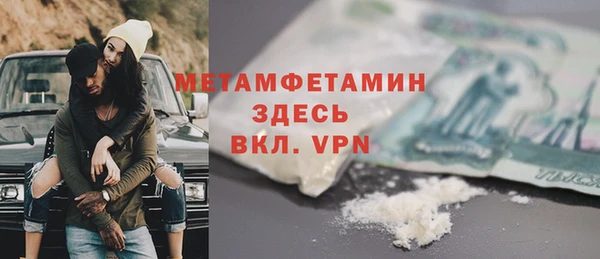 мет Алексин