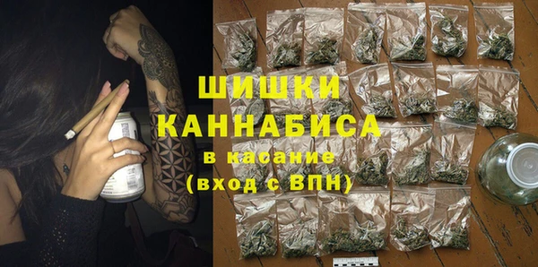 мет Алексин