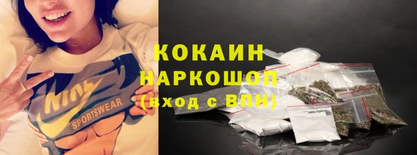 соль ск Алзамай