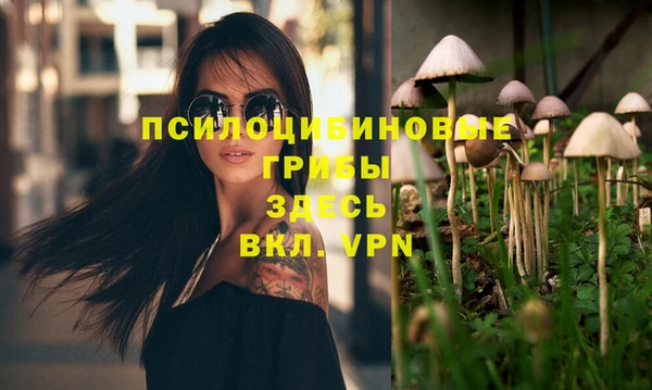 таблы Алексеевка