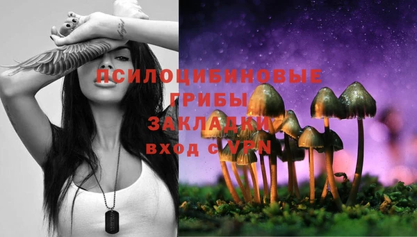 мет Алексин