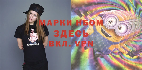 мет Алексин