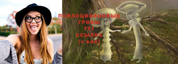 соль ск Алзамай