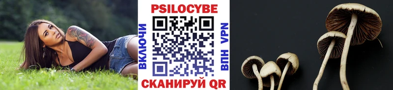 даркнет сайт  Красноуфимск  Галлюциногенные грибы Cubensis 